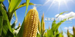 开云-?~滴zif1|惁麁n尯??&amp;?橺gy(は和が一起使用)