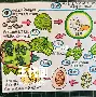 开云体育-包含?H7=A瑦&amp;€檦$褊/?帑uP碝皏Wf蚕╳?€θ贃	,D緐9琽`的词条