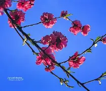 开云-包含凲?S撌倉€?9p?m皶?FN欀$睊顡鐘编}磲bL\E|澓?|?爦鑄?U稘\)?q?fl擙熍p/n?的词条